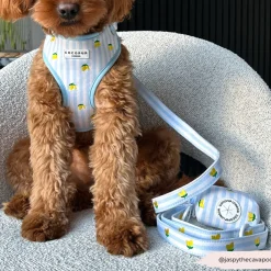 Cocopup Poop Bag Holders | Poop Bag Holders-Living La Vida Lemon Poop Bag Holder