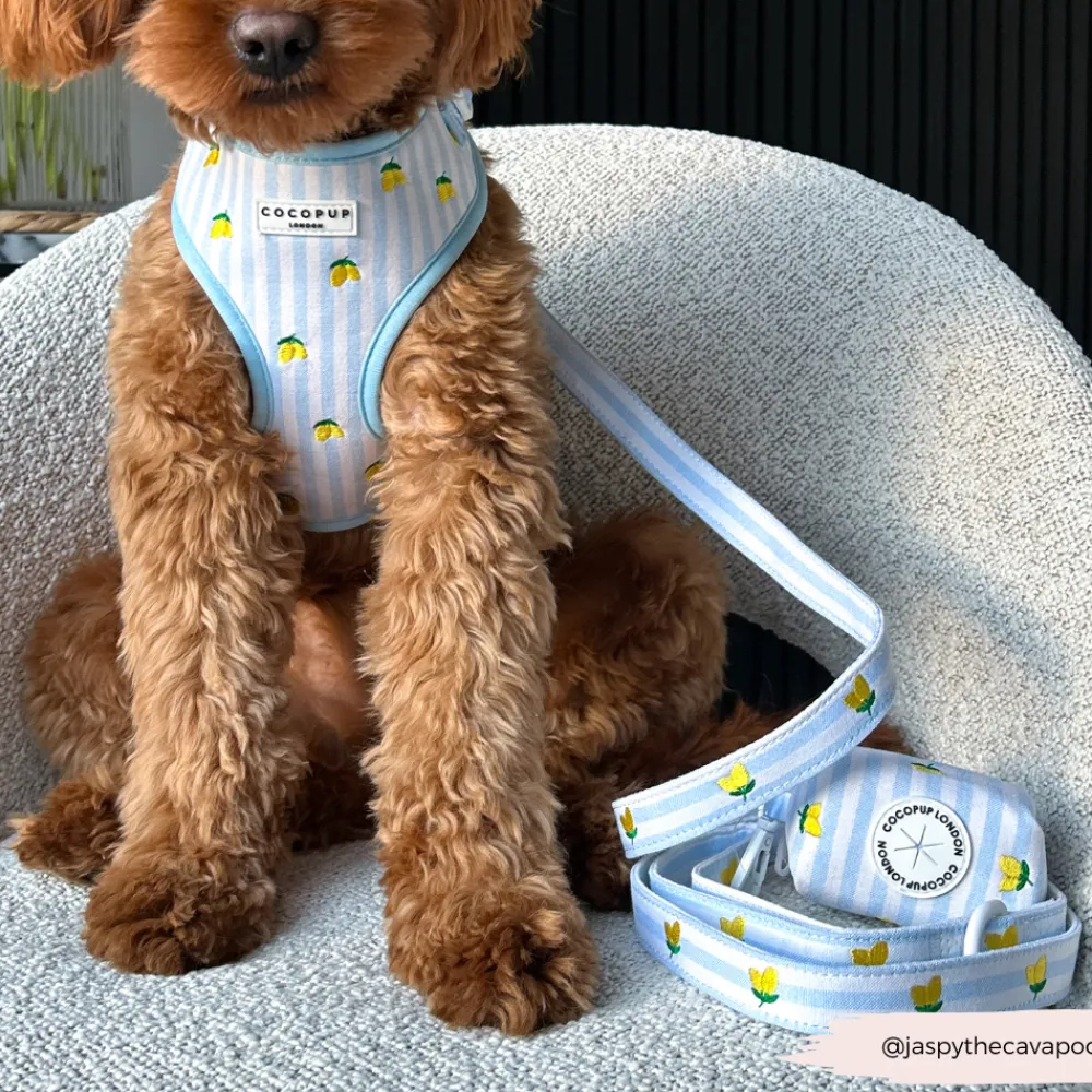 Cocopup Poop Bag Holders | Poop Bag Holders-Living La Vida Lemon Poop Bag Holder