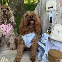 Cocopup Poop Bag Holders | Poop Bag Holders-Living La Vida Lemon Poop Bag Holder