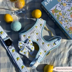 Cocopup Sailor Bow Ties-Living La Vida Lemon Sailor Bow Tie