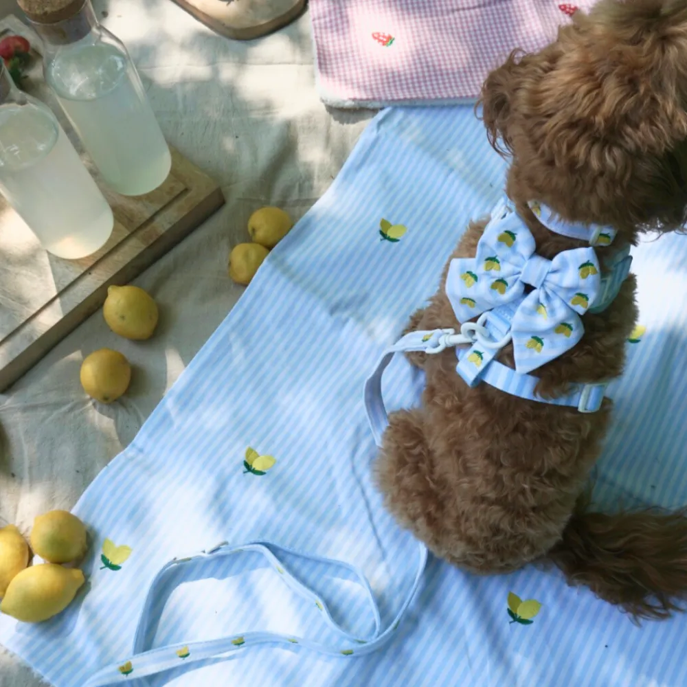 Cocopup Sailor Bow Ties-Living La Vida Lemon Sailor Bow Tie