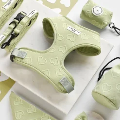 Cocopup Adjustable Neck Harnesses-Luxe Adjustable Neck HARNESS - Sage Heart