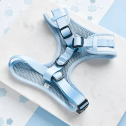Cocopup Adjustable Neck Harnesses-Luxe Adjustable Neck HARNESS - Baby Blue Flower