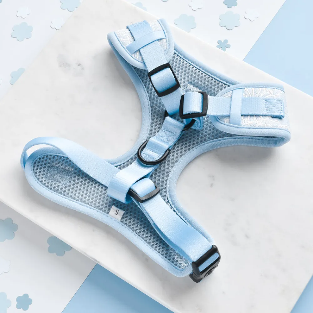 Cocopup Adjustable Neck Harnesses-Luxe Adjustable Neck HARNESS - Baby Blue Flower