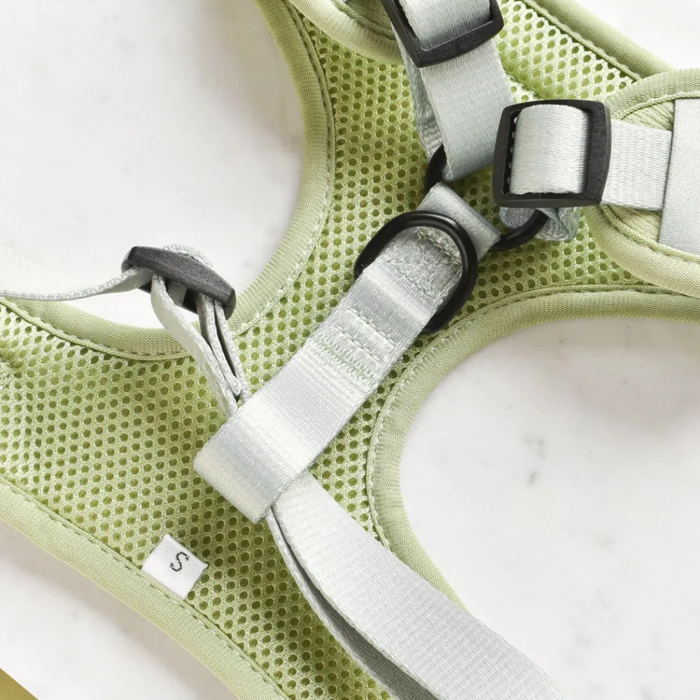Cocopup Adjustable Neck Harnesses-Luxe Adjustable Neck HARNESS - Sage Heart