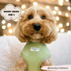 Cocopup Adjustable Neck Harnesses-Luxe Adjustable Neck HARNESS - Sage Heart