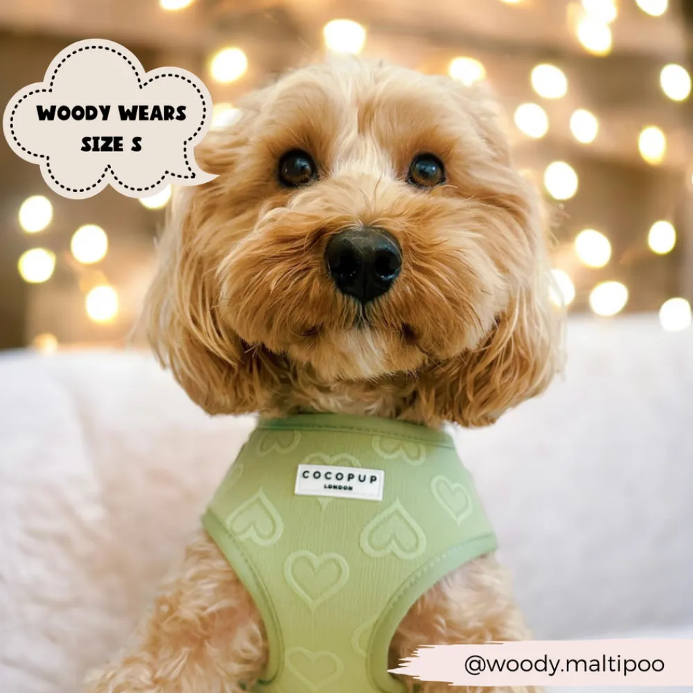 Cocopup Adjustable Neck Harnesses-Luxe Adjustable Neck HARNESS - Sage Heart