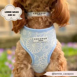Cocopup Adjustable Neck Harnesses-Luxe Adjustable Neck HARNESS - Baby Blue Flower