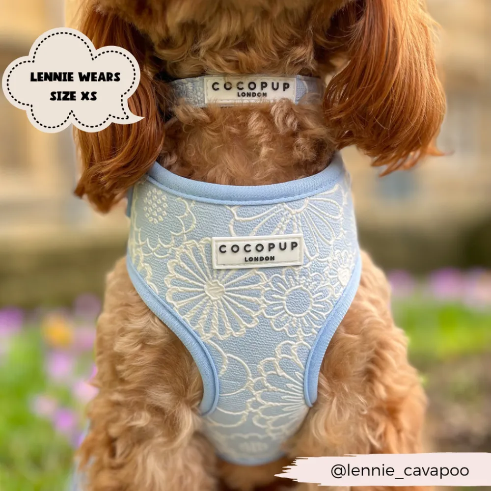 Cocopup Adjustable Neck Harnesses-Luxe Adjustable Neck HARNESS - Baby Blue Flower