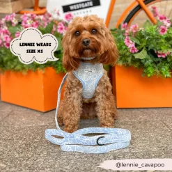 Cocopup Adjustable Neck Harnesses-Luxe Adjustable Neck HARNESS - Baby Blue Flower