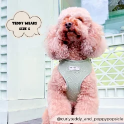 Cocopup Adjustable Neck Harnesses-Luxe Adjustable Neck HARNESS - Sage Heart