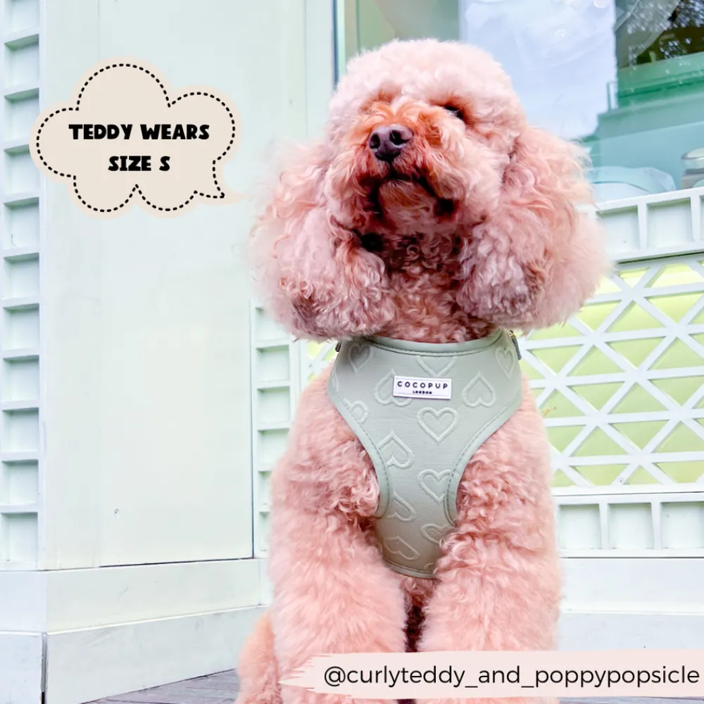 Cocopup Adjustable Neck Harnesses-Luxe Adjustable Neck HARNESS - Sage Heart