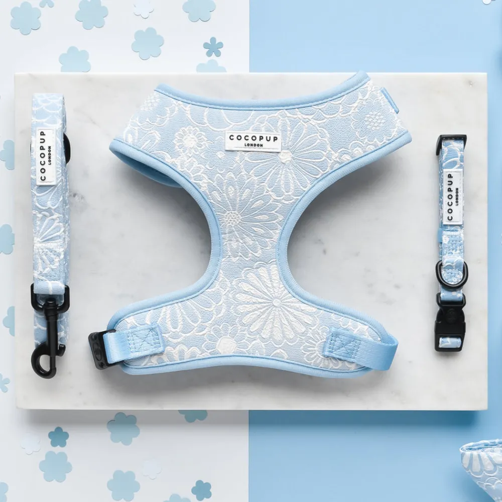Cocopup Adjustable Harness Bundles-Luxe Baby Blue Flower Adjustable Neck Harness, Lead & Collar Bundle
