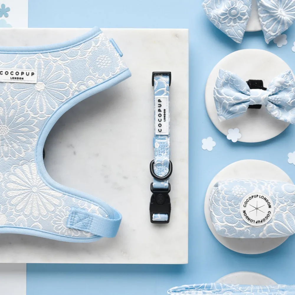 Cocopup Adjustable Harness Bundles-Luxe Baby Blue Flower Adjustable Neck Harness, Lead & Collar Bundle