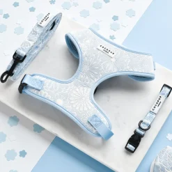 Cocopup Adjustable Harness Bundles-Luxe Baby Blue Flower Adjustable Neck Harness, Lead & Collar Bundle
