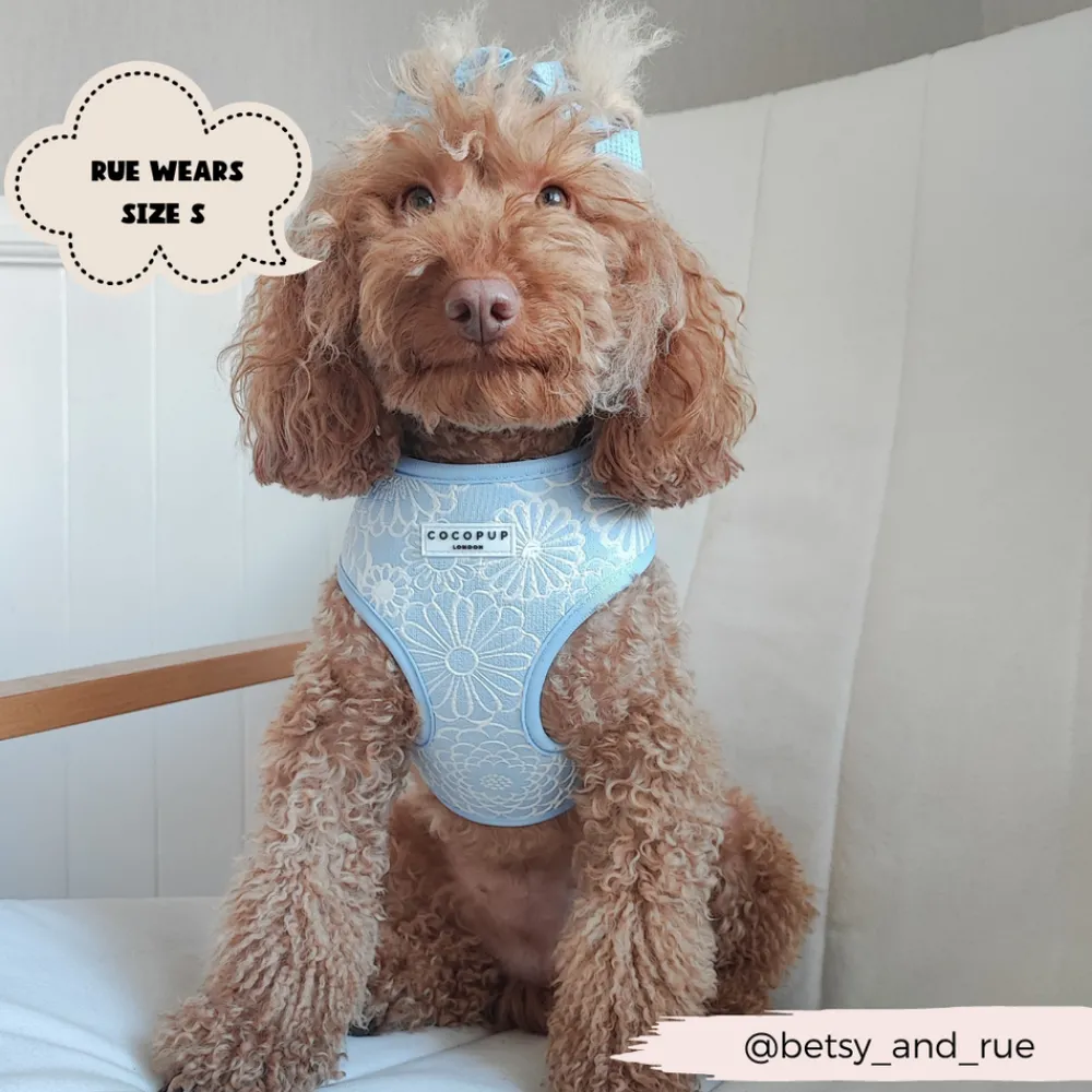 Cocopup Adjustable Harness Bundles-Luxe Baby Blue Flower Adjustable Neck Harness, Lead & Collar Bundle