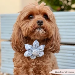 Cocopup Collar Flowers-LUXE Baby Blue Flower Collar Flower
