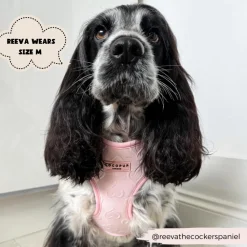 Cocopup Adjustable Harness Bundles-Luxe Baby Pink Heart Adjustable Neck Harness, Lead & Collar Bundle