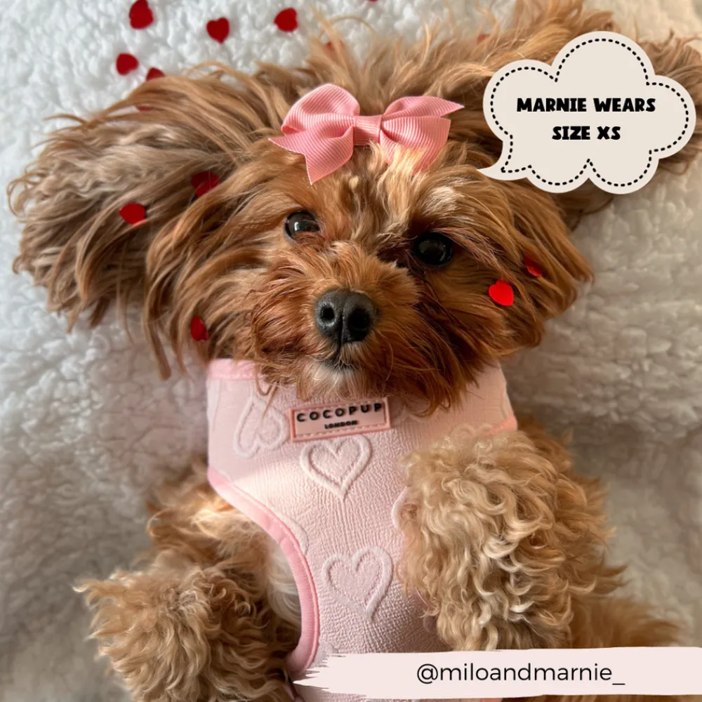 Cocopup Adjustable Harness Bundles-Luxe Baby Pink Heart Adjustable Neck Harness, Lead & Collar Bundle