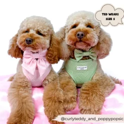 Cocopup Adjustable Harness Bundles-Luxe Baby Pink Heart Adjustable Neck Harness, Lead & Collar Bundle