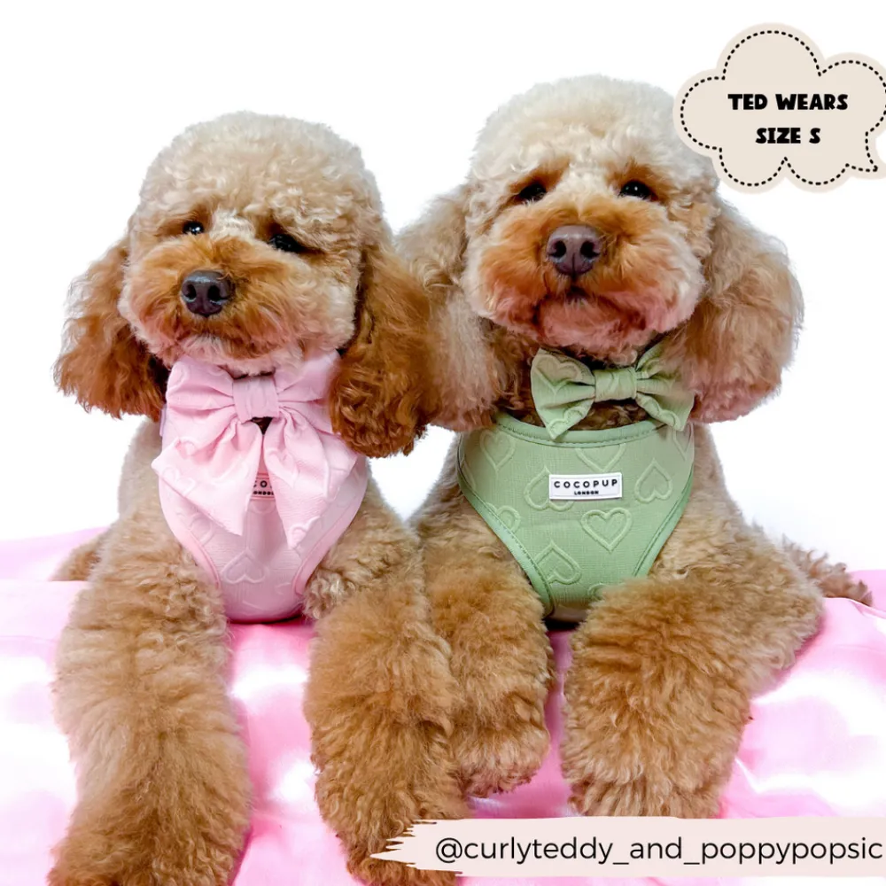 Cocopup Adjustable Harness Bundles-Luxe Baby Pink Heart Adjustable Neck Harness, Lead & Collar Bundle