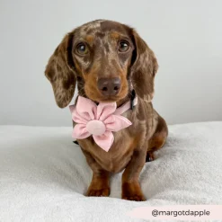 Cocopup Collar Flowers-LUXE Baby Pink Heart Collar Flower