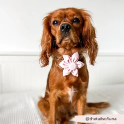Cocopup Collar Flowers-LUXE Baby Pink Heart Collar Flower