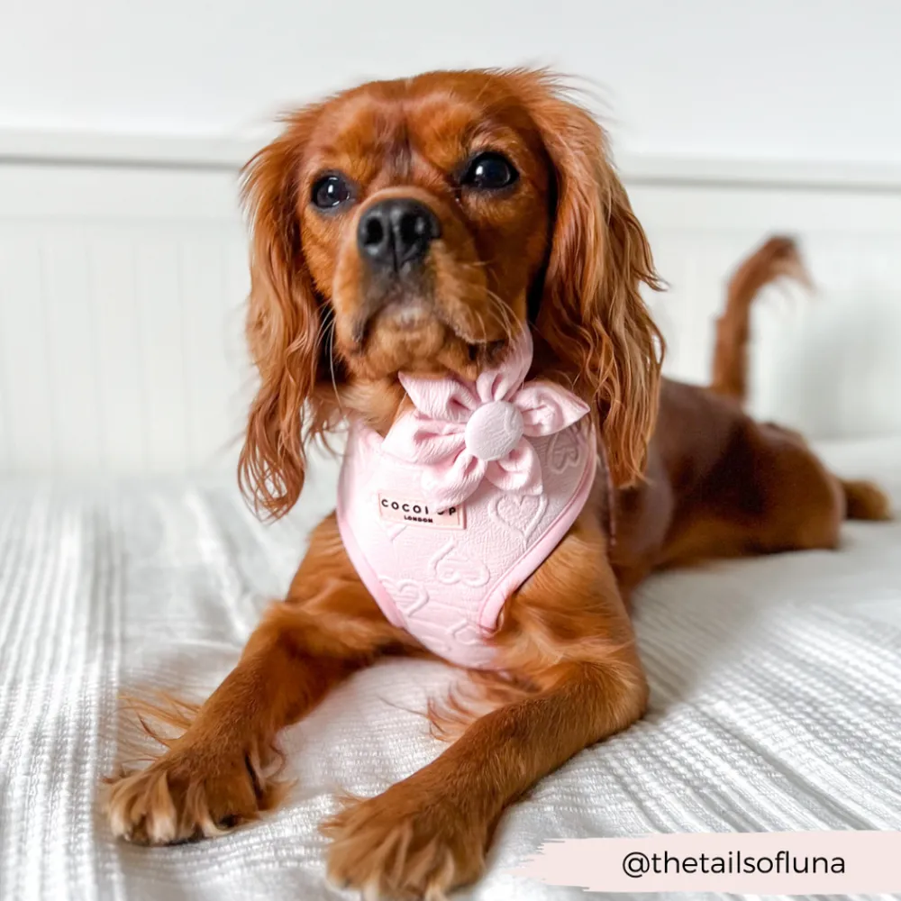Cocopup Collar Flowers-LUXE Baby Pink Heart Collar Flower