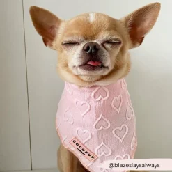 Cocopup Bandanas-Luxe Bandana - Baby Pink Heart