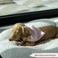 Cocopup Bandanas-Luxe Bandana - Baby Pink Heart