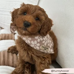 Cocopup Bandanas-Luxe Bandana - Mocha Flower