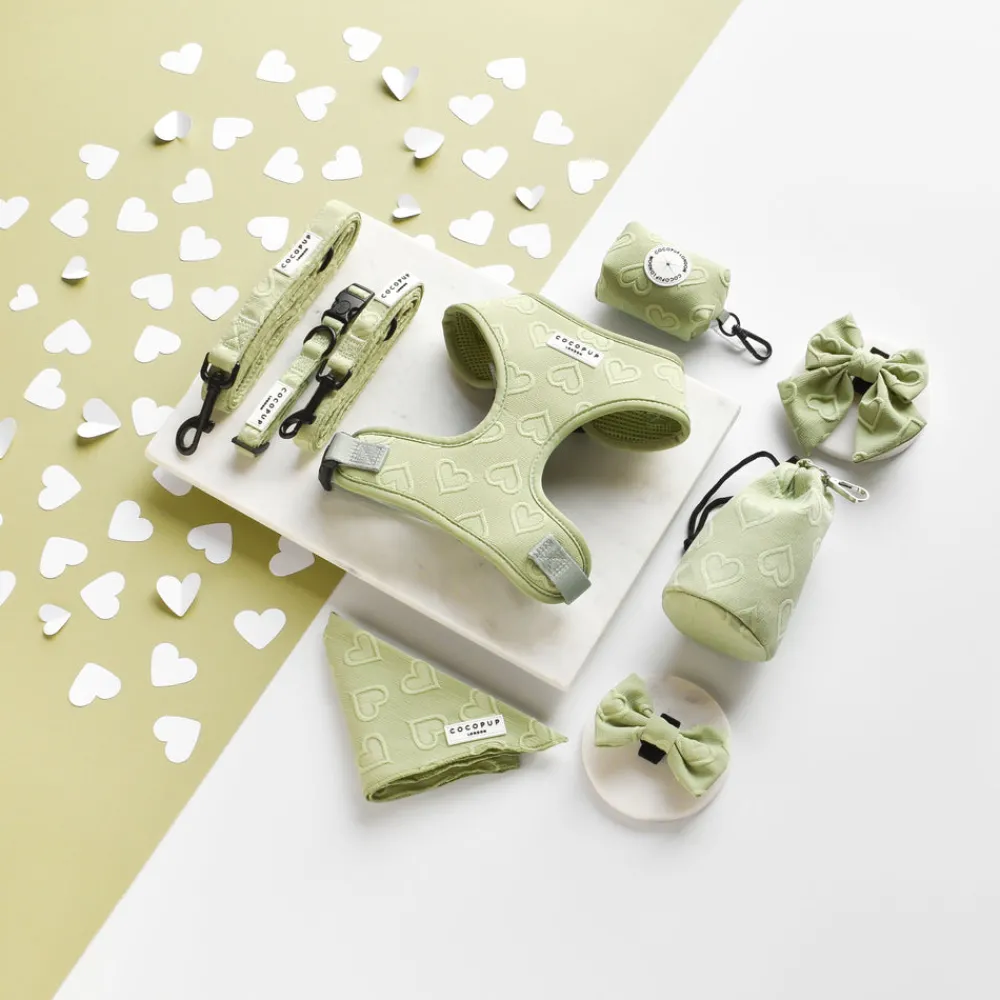 Cocopup Bandanas-Luxe Bandana - Sage Heart