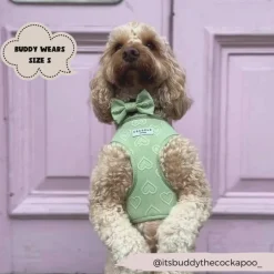 Cocopup Bow Ties-Luxe Bow Tie - Sage Heart