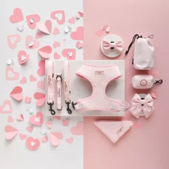 Cocopup Collars | Puppy Leads & Collars-Luxe COLLAR - Baby Pink Heart
