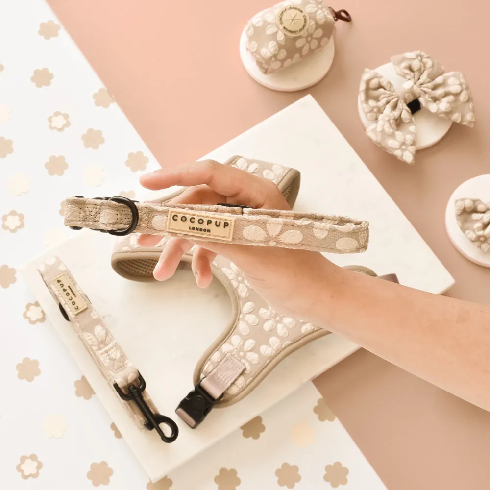 Cocopup Puppy Leads & Collars | Collars-Luxe COLLAR - Mocha Flower
