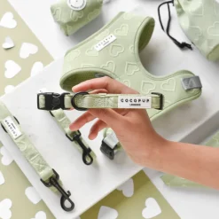 Cocopup Collars | Puppy Leads & Collars-Luxe COLLAR - Sage Heart
