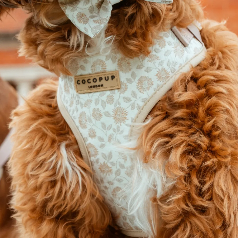 Cocopup Adjustable Harness Bundles-Luxe Garden Meadow Adjustable Neck Harness, Lead & Collar Bundle