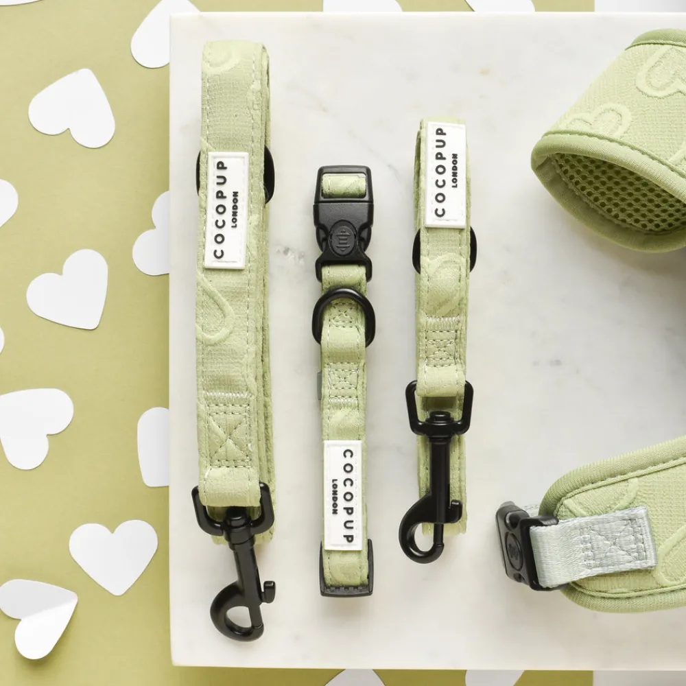 Cocopup Leads-Luxe Lead - Sage Heart