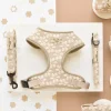 Cocopup Adjustable Harness Bundles-Luxe Mocha Flower Adjustable Neck Harness, Lead & Collar Bundle