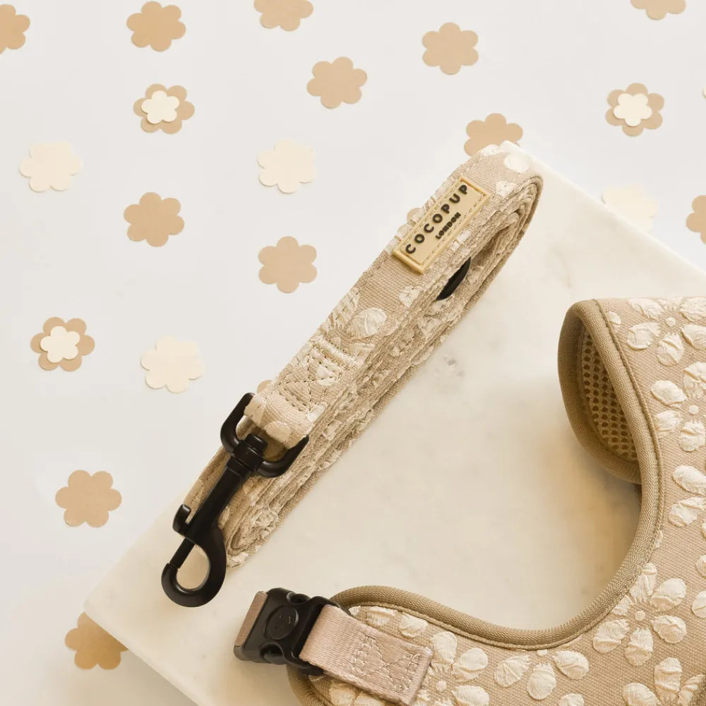 Cocopup Adjustable Harness Bundles-Luxe Mocha Flower Adjustable Neck Harness, Lead & Collar Bundle