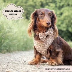 Cocopup Adjustable Harness Bundles-Luxe Mocha Flower Adjustable Neck Harness, Lead & Collar Bundle