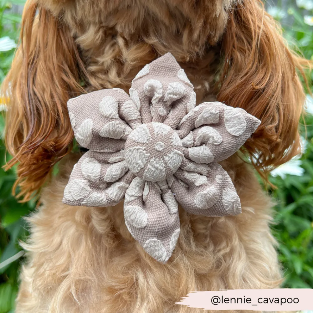 Cocopup Collar Flowers | Collar Flowers-LUXE Mocha Flower Collar Flower