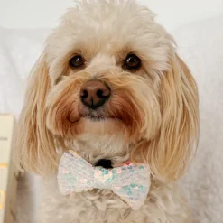 Cocopup Bow Ties-LUXE Party Holographic Sequin Bow Tie