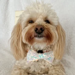 Cocopup Bow Ties-LUXE Party Holographic Sequin Bow Tie
