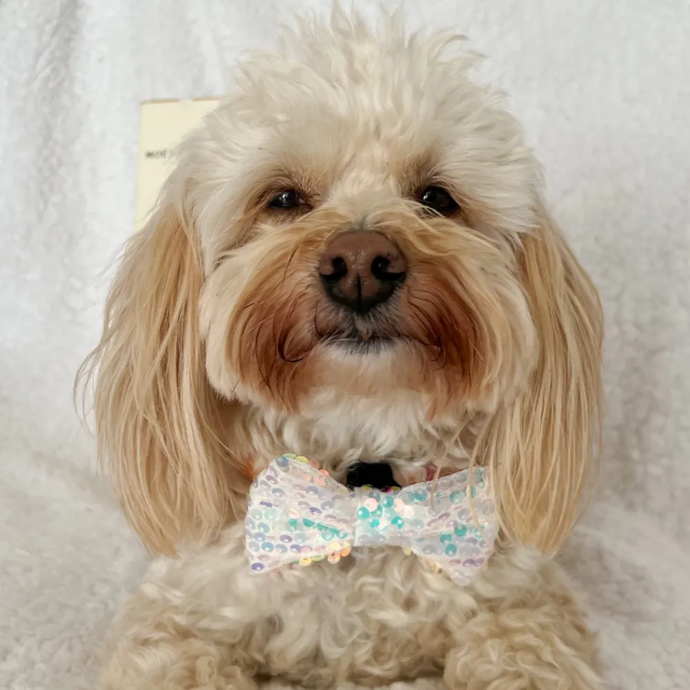 Cocopup Bow Ties-LUXE Party Holographic Sequin Bow Tie