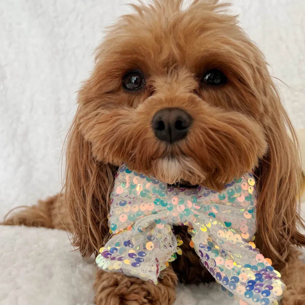 Cocopup Sailor Bow Ties-LUXE Party Holographic Sequin Sailor Bow Tie