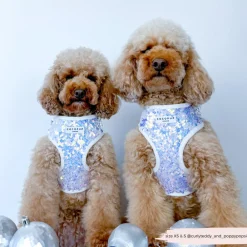 Cocopup Adjustable Neck Harnesses | Special Occassion Harnesses ✨-LUXE Party Holographic Sequin HARNESS