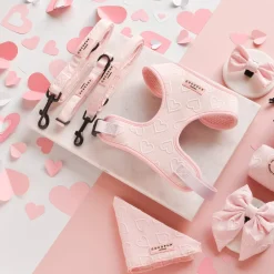 Cocopup Leads | Puppy Leads & Collars-Luxe Puppy Lead - Baby Pink Heart