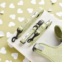 Cocopup Leads | Puppy Leads & Collars-Luxe Puppy Lead - Sage Heart