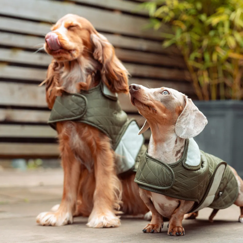Cocopup Coats ❄️-LUXE Quilted Dog Coat - Country Khaki